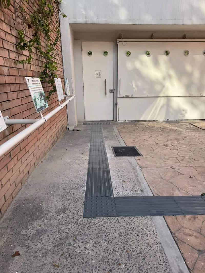 Casa de la Cultura Saltillo — imagen 18