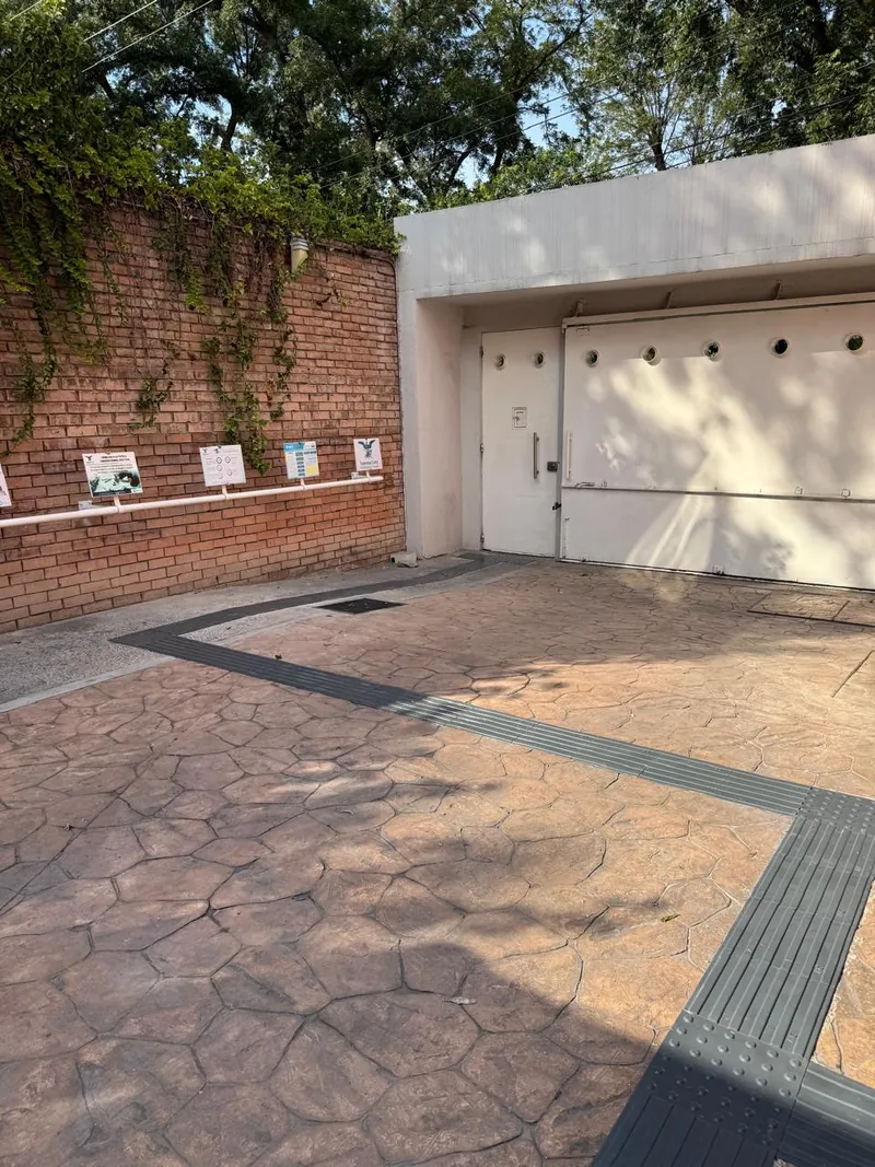 Casa de la Cultura Saltillo — imagen 19