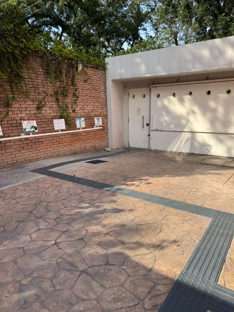 Casa de la Cultura Saltillo — imagen 27