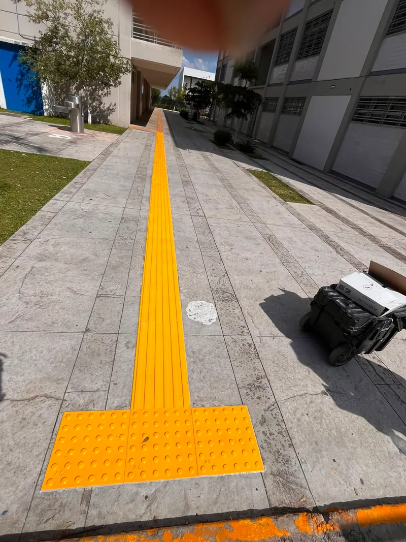 Prepas UDG — imagen 13