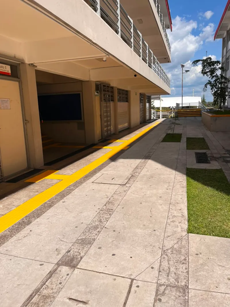 Prepas UDG — imagen 17