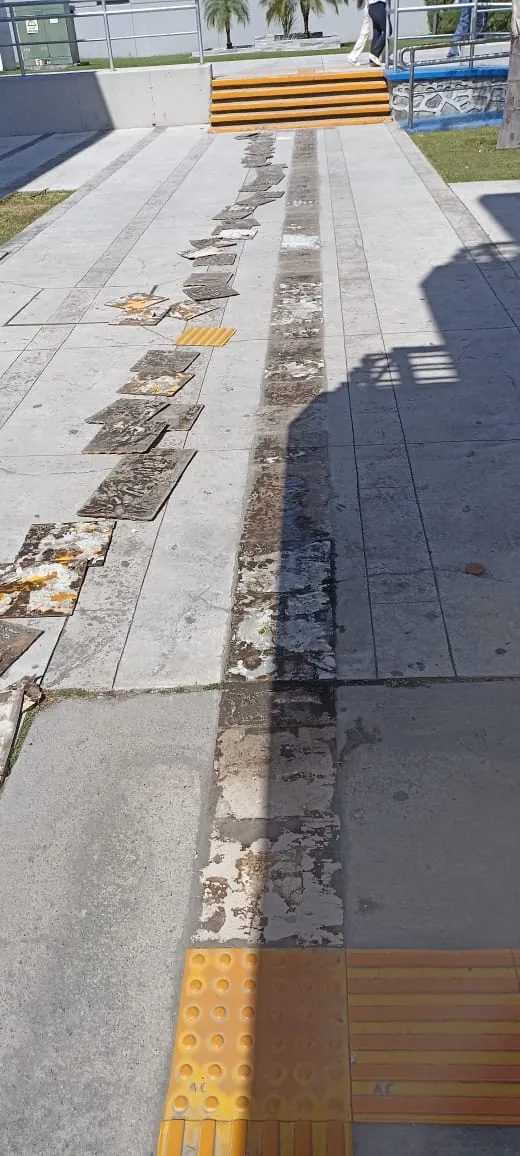 Prepas UDG — imagen 52