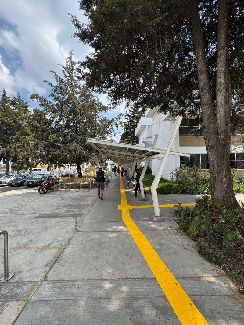 Prepas UDG — imagen 55