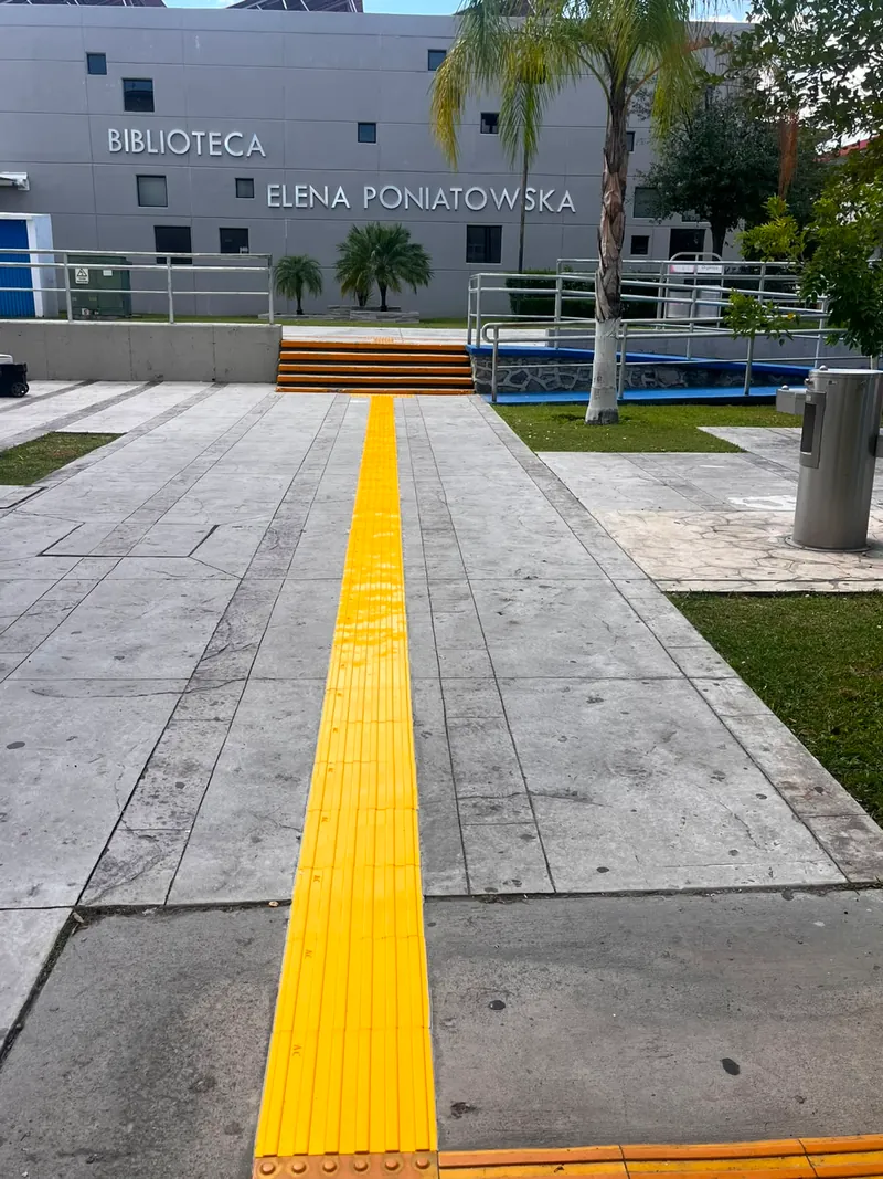 Prepas UDG — imagen 73
