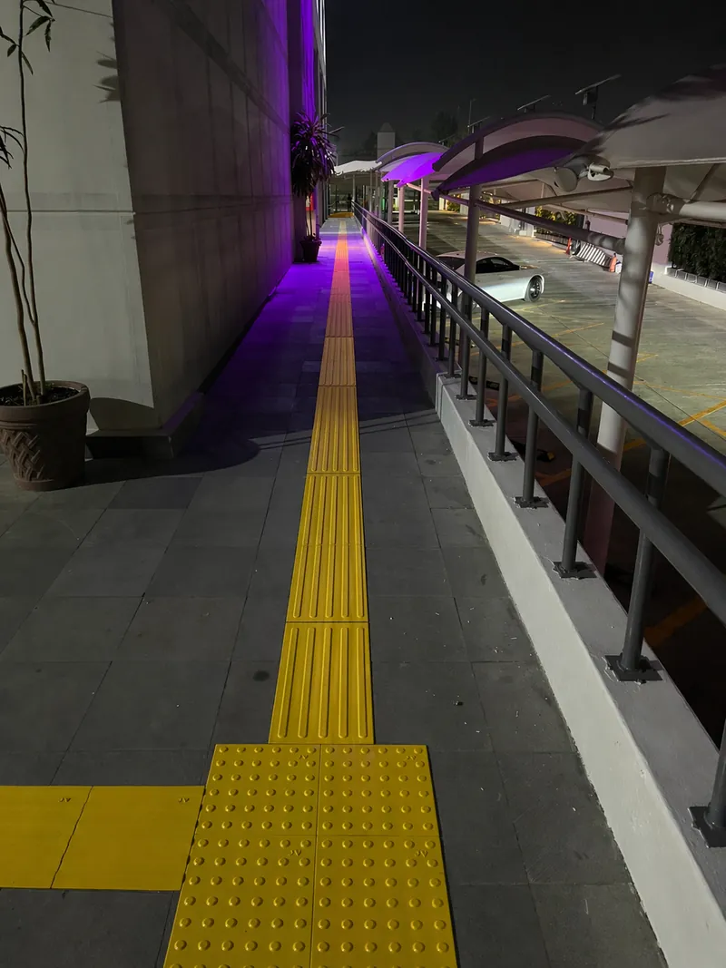 Tren Maya — imagen 8